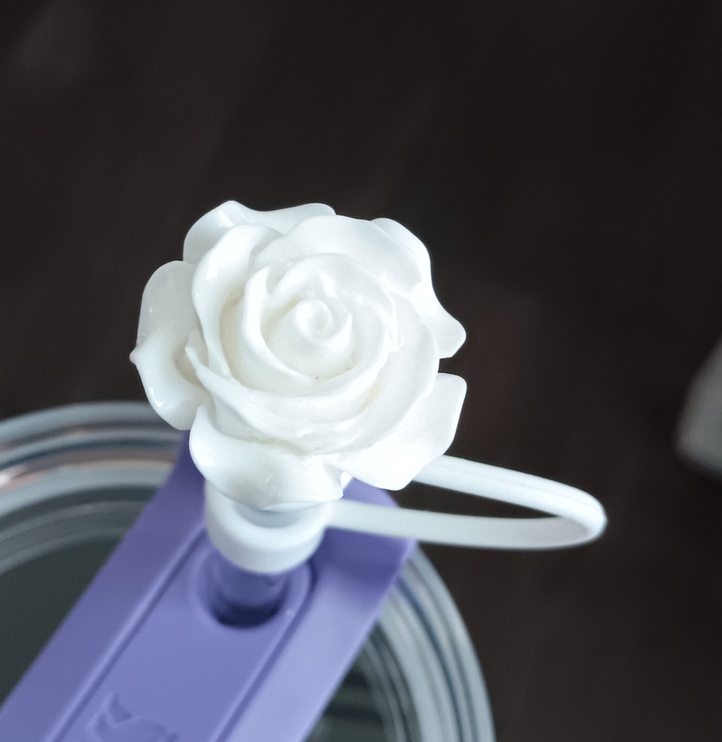 Rose Cooty Cover