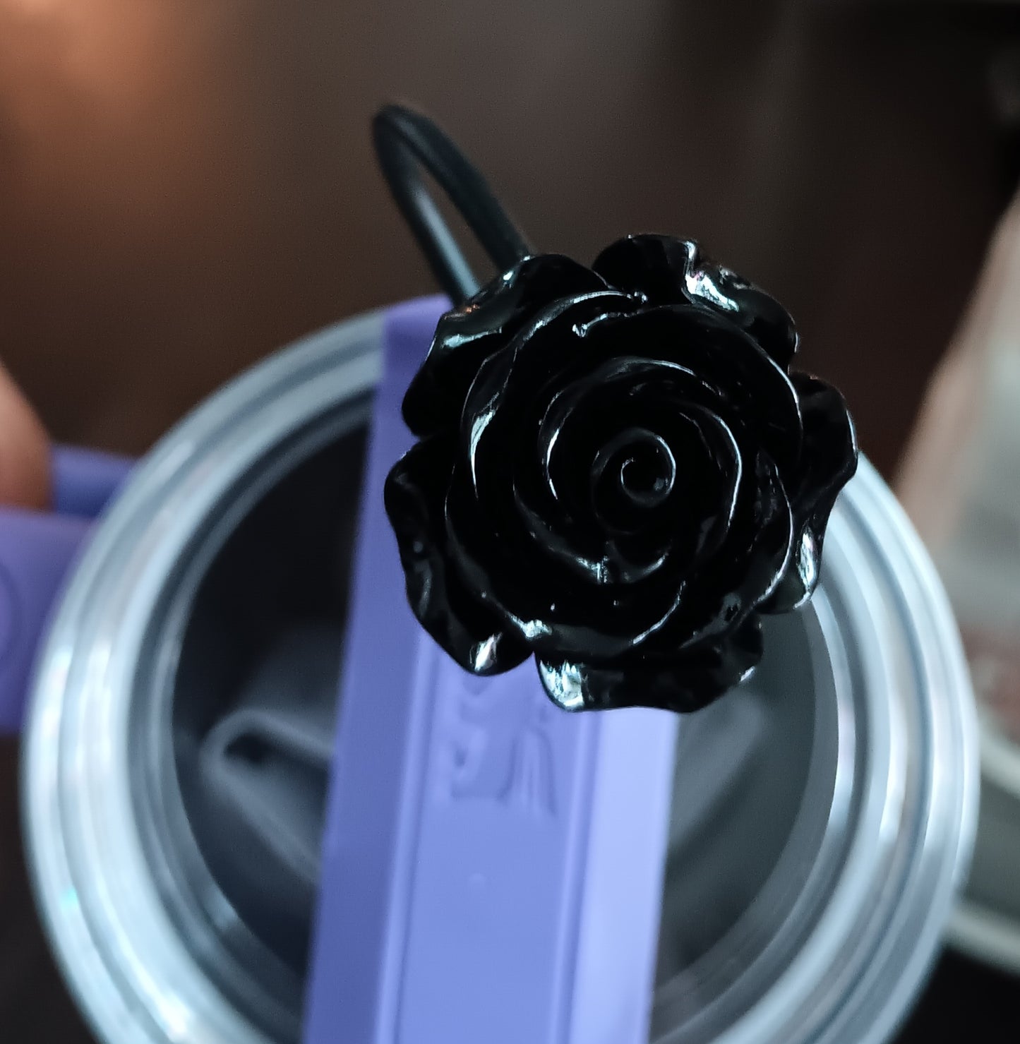 Rose Cooty Cover